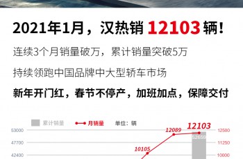 比亚迪
